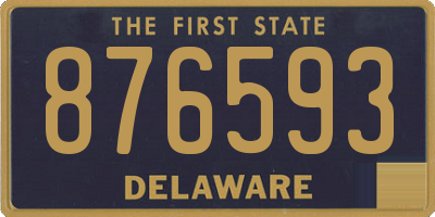 DE license plate 876593