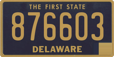 DE license plate 876603