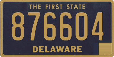 DE license plate 876604