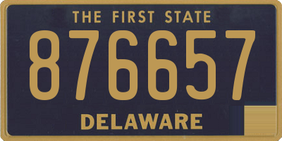 DE license plate 876657