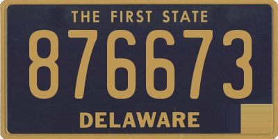 DE license plate 876673