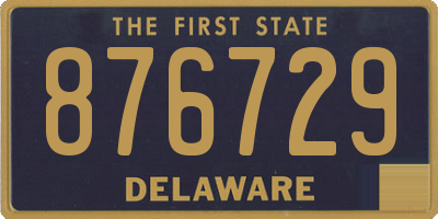 DE license plate 876729