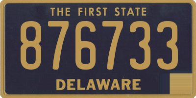 DE license plate 876733