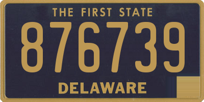 DE license plate 876739
