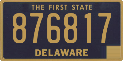DE license plate 876817