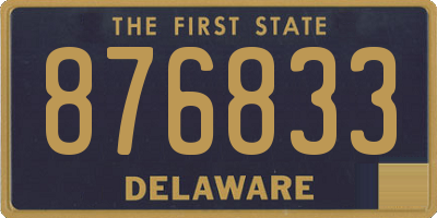 DE license plate 876833