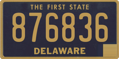 DE license plate 876836