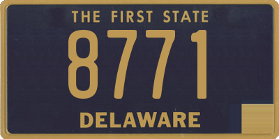 DE license plate 8771