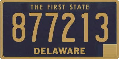DE license plate 877213