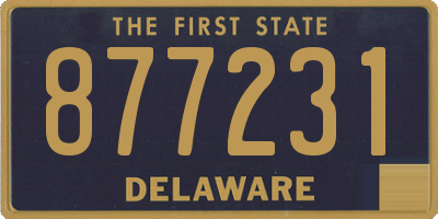 DE license plate 877231