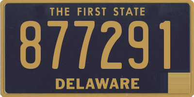DE license plate 877291