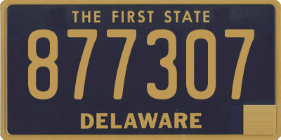DE license plate 877307