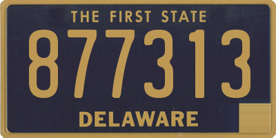 DE license plate 877313