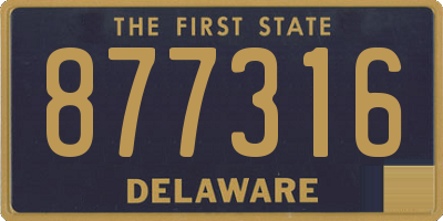 DE license plate 877316