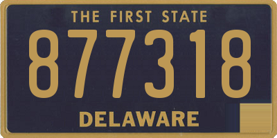 DE license plate 877318