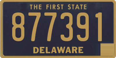 DE license plate 877391
