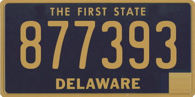 DE license plate 877393