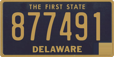 DE license plate 877491