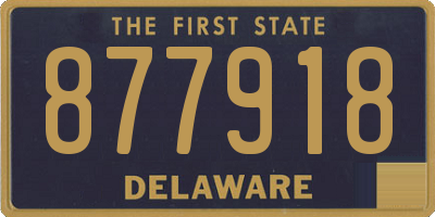 DE license plate 877918