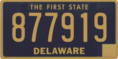 DE license plate 877919