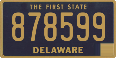 DE license plate 878599