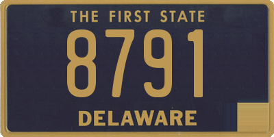 DE license plate 8791