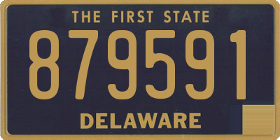 DE license plate 879591