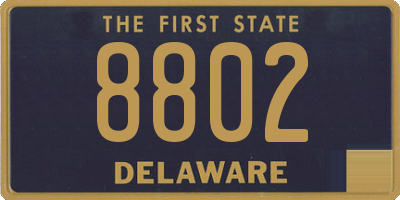 DE license plate 8802
