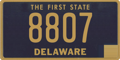 DE license plate 8807