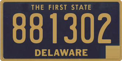 DE license plate 881302