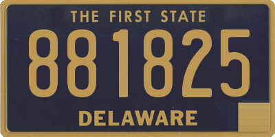 DE license plate 881825