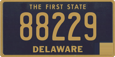 DE license plate 88229