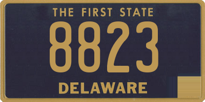 DE license plate 8823