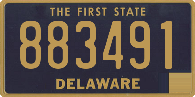 DE license plate 883491