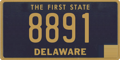 DE license plate 8891