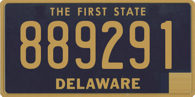 DE license plate 889291