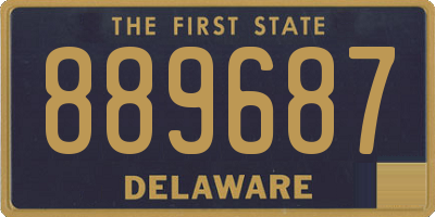 DE license plate 889687