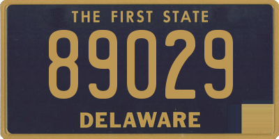 DE license plate 89029