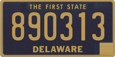 DE license plate 890313