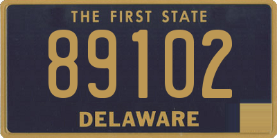 DE license plate 89102