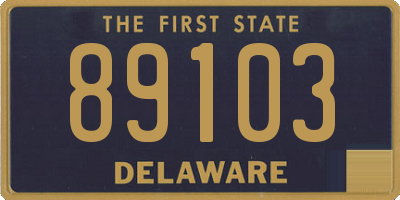 DE license plate 89103