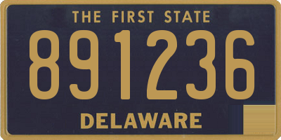 DE license plate 891236