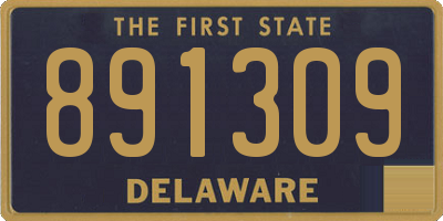DE license plate 891309