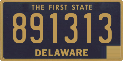 DE license plate 891313