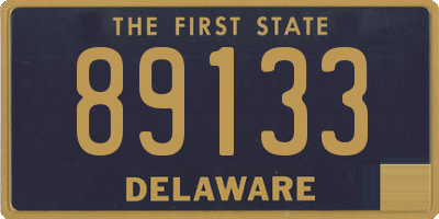 DE license plate 89133