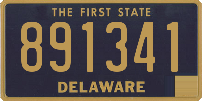 DE license plate 891341