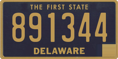 DE license plate 891344
