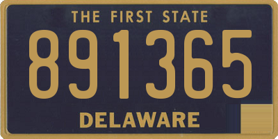 DE license plate 891365