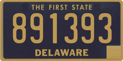 DE license plate 891393