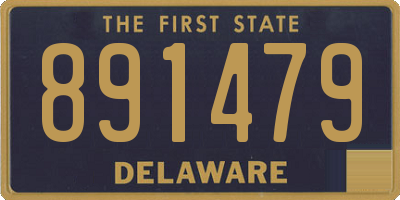 DE license plate 891479